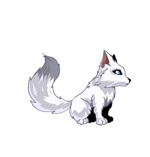 Arctic Fox